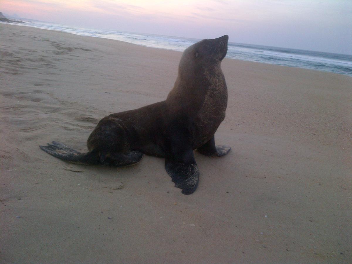 Apartmán Imperani Plettenberg Bay Exteriér fotografie
