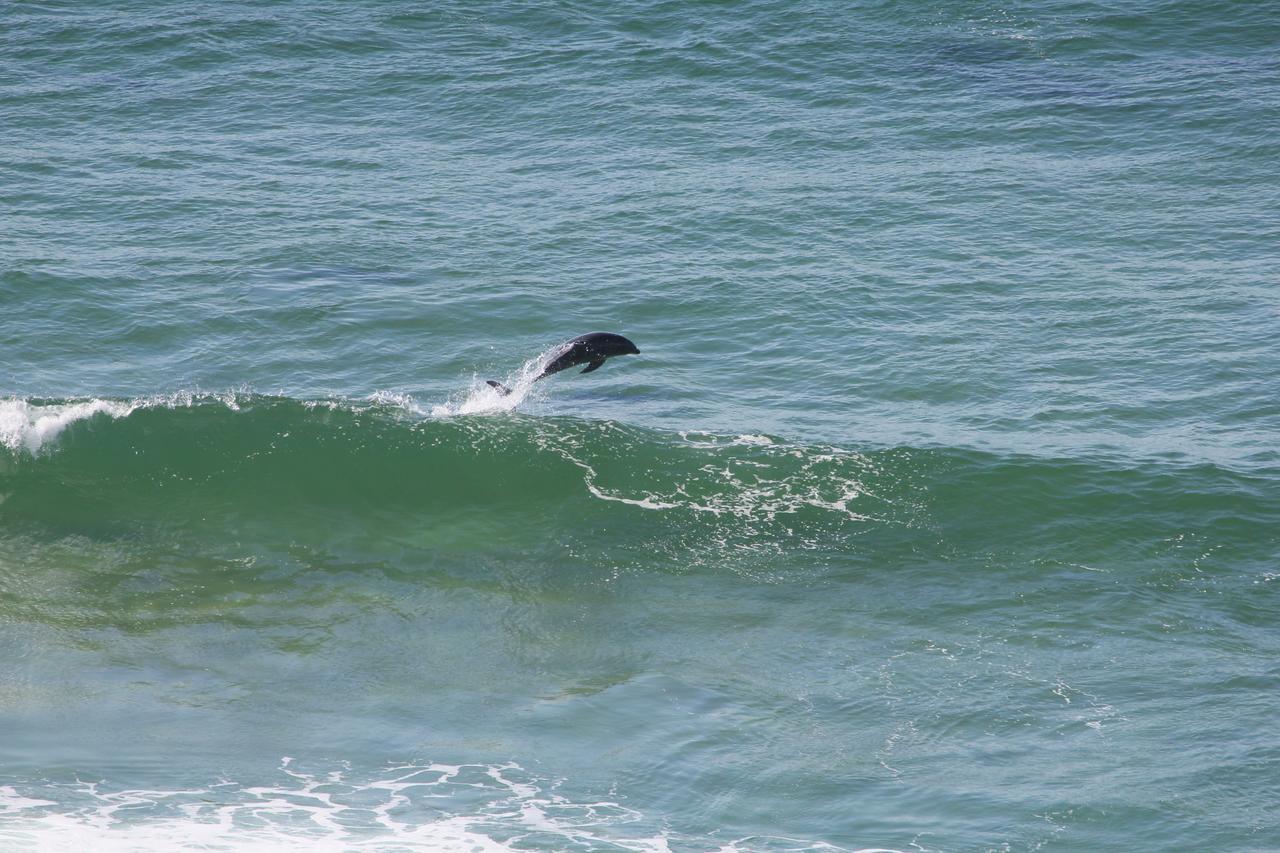 Apartmán Imperani Plettenberg Bay Exteriér fotografie